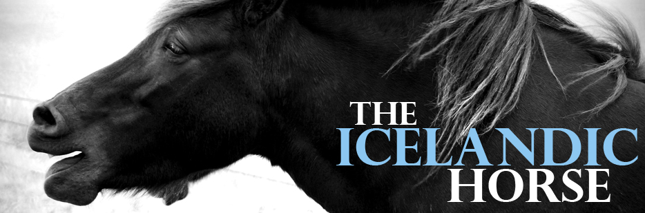 Icelandic Horse header Icelandic Horse header1 Flights of Fancy A photographic journey through the skies of Cappadocia with @RoyalBalloon