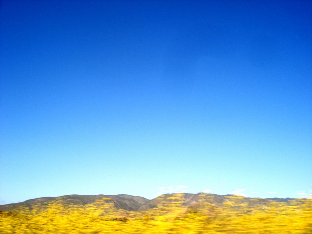 big skysmaller