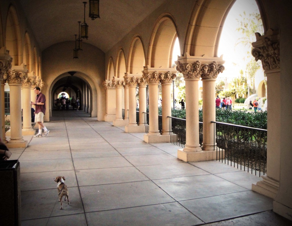 balboa 3 1024x794 Balboa Park   San Diegos Crown Jewel