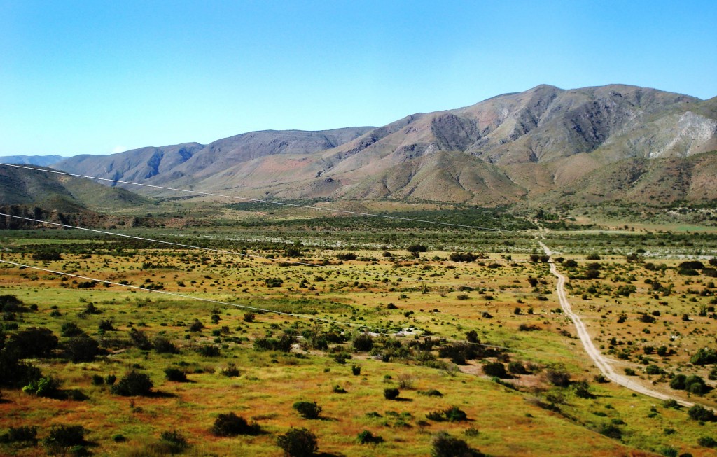 Beautiful Mexican Landscape