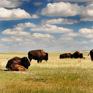 I Left My Heart in Badlands National Park, South Dakota.