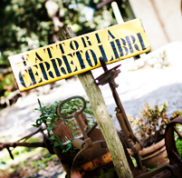 So You Want to WWOOF: 3 Tips to volunteering on your first organic farm