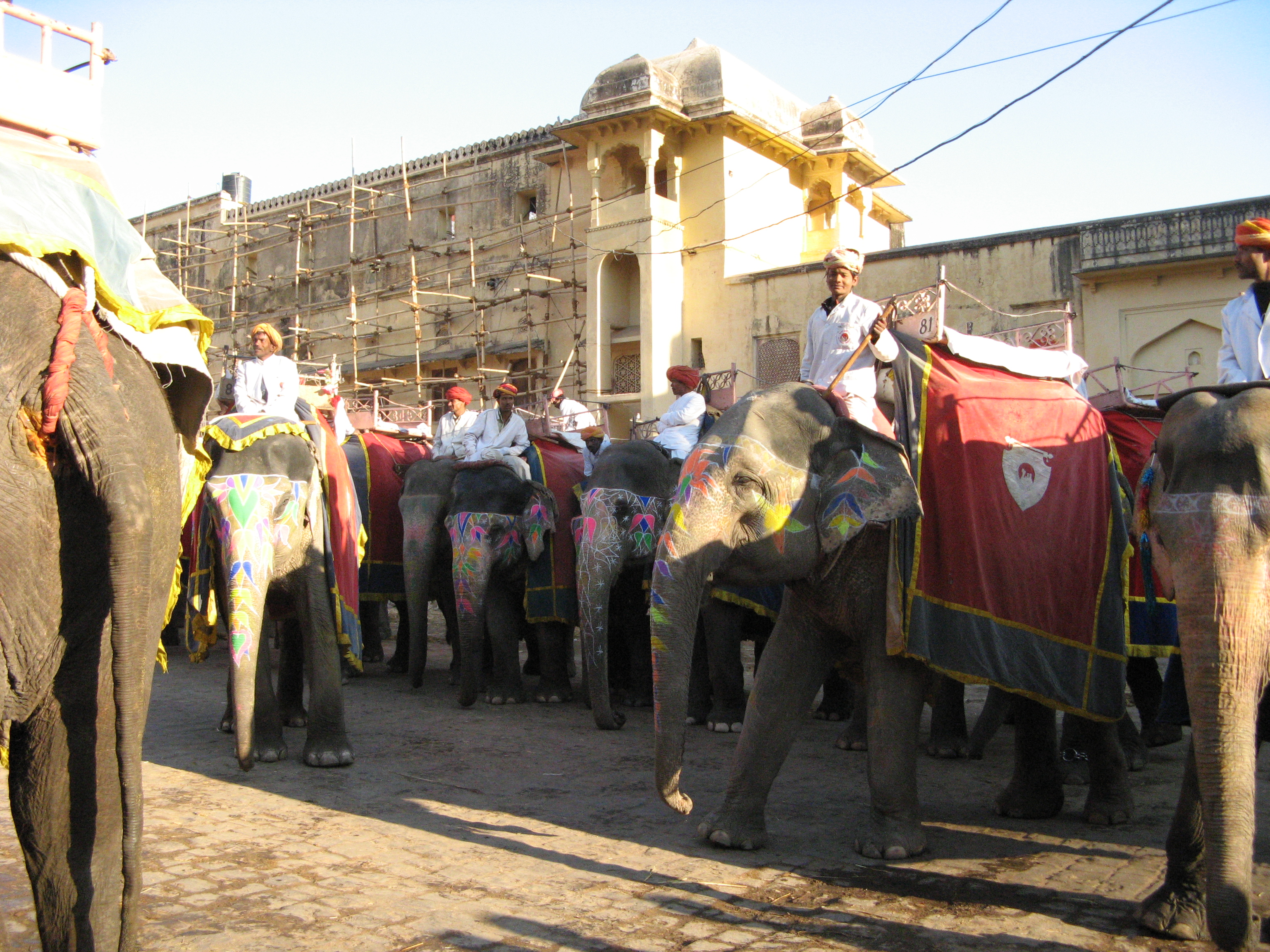 Elephants in the streets of India.