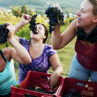 Esther, Yours Truly & Anna enjoying grapes on the farm in Tuscany.