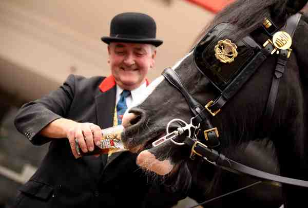 Real Ale Enthusiasts Flock To The CAMRA Great British Beer Festival Great British Beer Festival by Rikkis Refuge Three Upcoming Cant Miss London Events