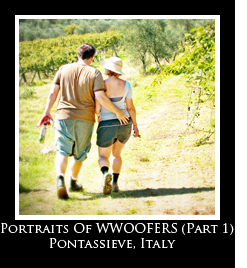 Portraits of WWOOFERS Portraits of WWOOFERS Photo Essays