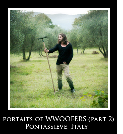 Portraits of Wwoofers part 2 Portraits of Wwoofers part 2 Photo Essays