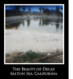 The Beauty of Decay The Beauty of Decay Photo Essays