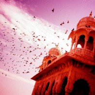 India by jcandeli via flickr India by jcandeli via flickr