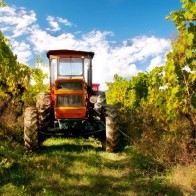 The Tractor on the Farm in Tuscany.