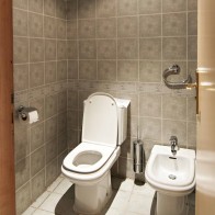 toilet and bidet sfb