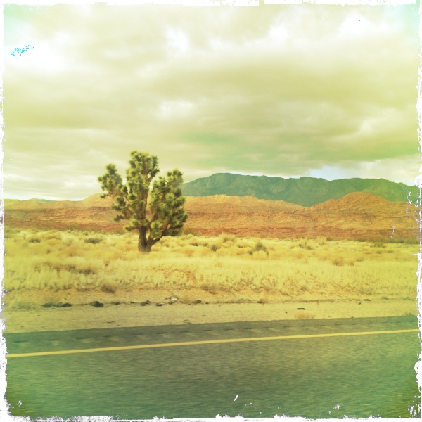 Nevada-highway Nevada highway Temecula to Denver: An InstaTog Session