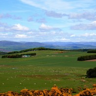 The green fields of Scotland.