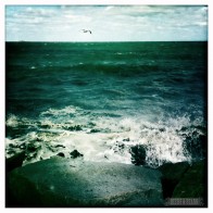 waves of plymouth sfb