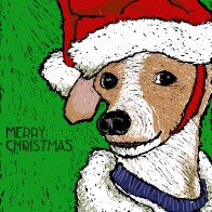 Chachy by mike