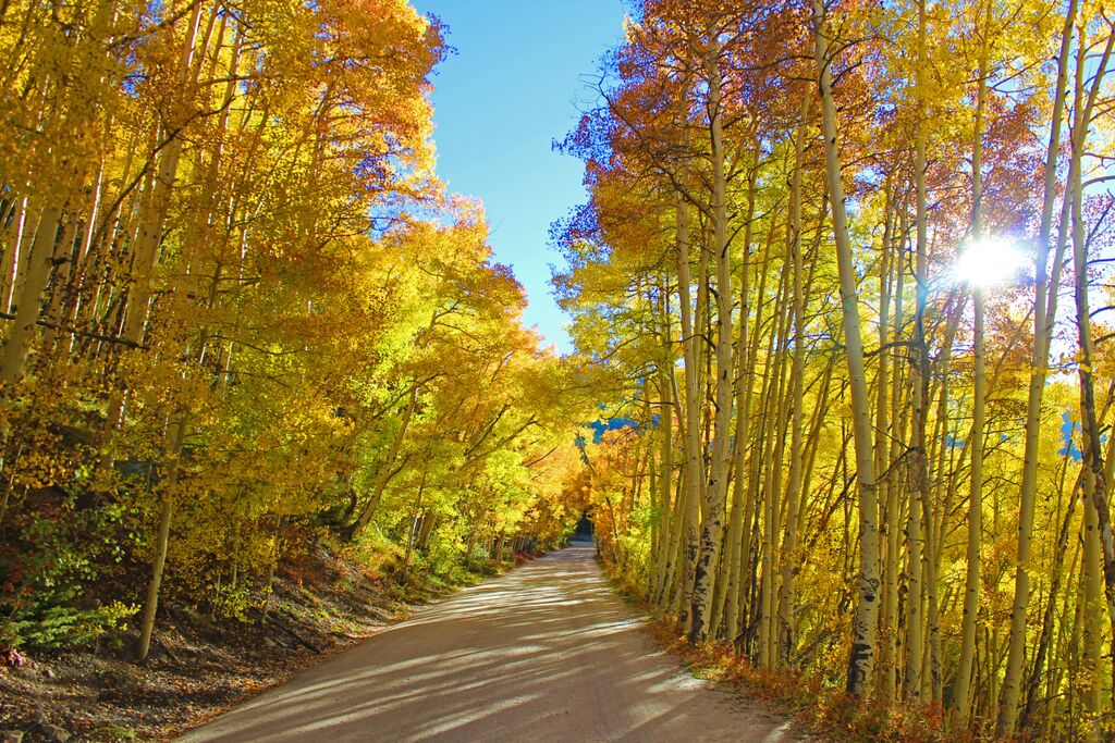 Beers and Beans Come Experience Fall in Breckenridge on PinUp Live