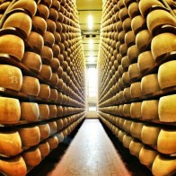 The sacred halls of the Parmigiano-Reggiano Consortium in Parma, Italy.