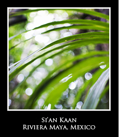 sian kaan riviera maya icon Photo Essays
