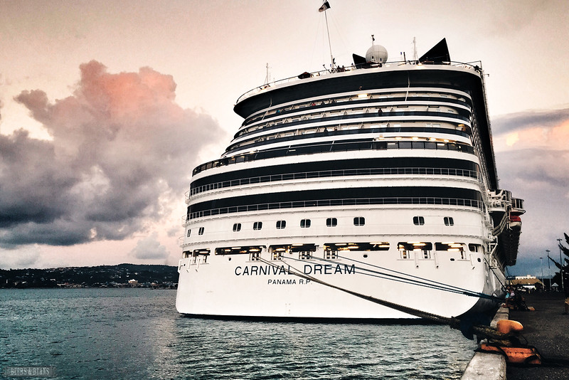 Carnival cruise experience picture