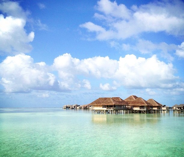 Beers and Beans | The Maldives vs Climate Change: Saving the Planet One ...